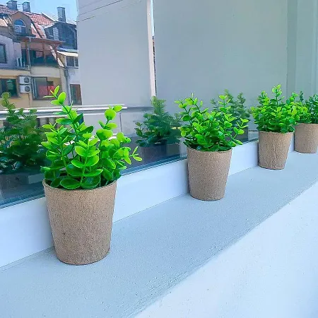 Kiko Apartament Burgas شقة *